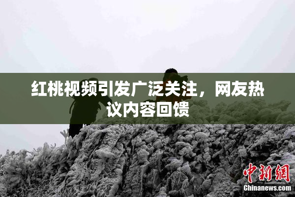 红桃视频引发广泛关注，网友热议内容回馈