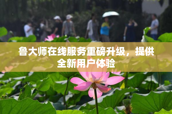 鲁大师在线服务重磅升级，提供全新用户体验