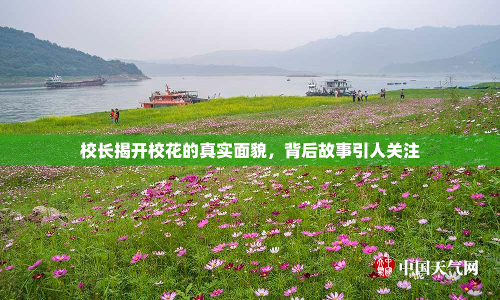 校长揭开校花的真实面貌，背后故事引人关注