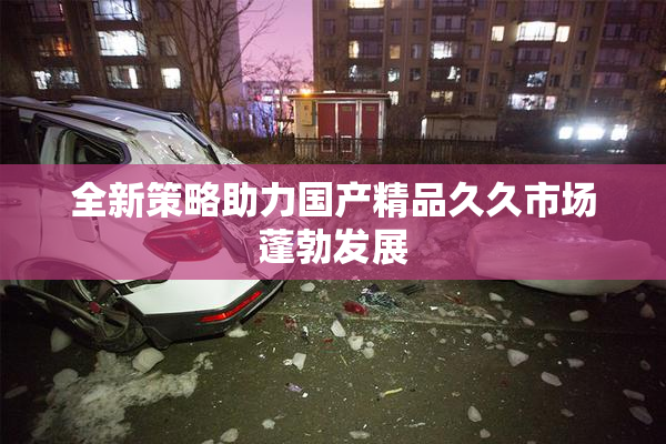 全新策略助力国产精品久久市场蓬勃发展