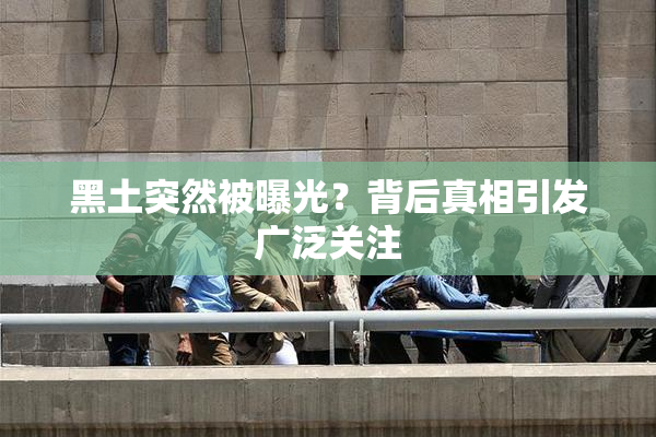 黑土突然被曝光？背后真相引发广泛关注