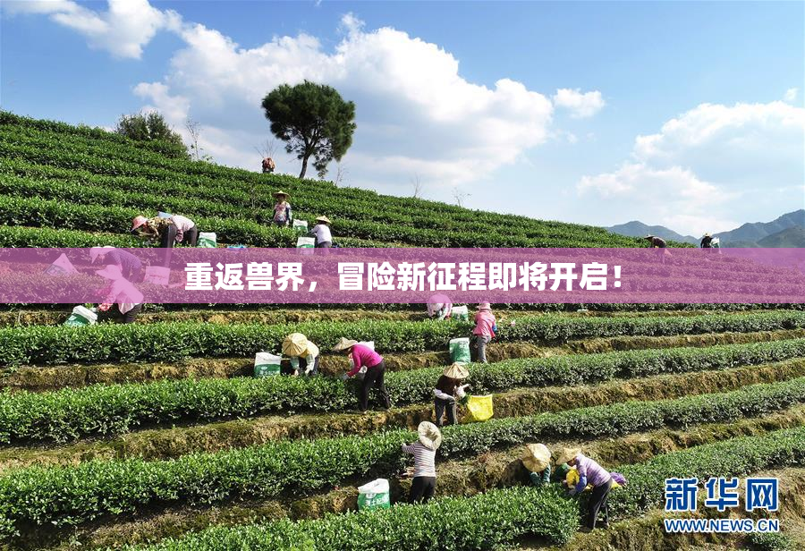 重返兽界，冒险新征程即将开启！