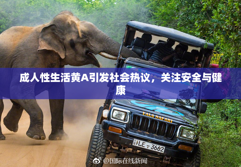 成人性生活黄A引发社会热议，关注安全与健康