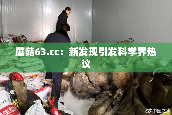 蘑菇63.㏄：新发现引发科学界热议