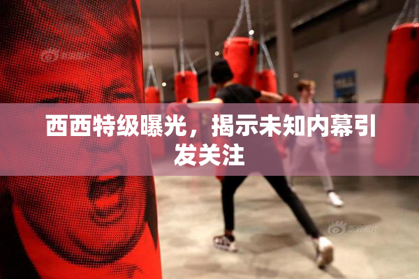 西西特级曝光，揭示未知内幕引发关注