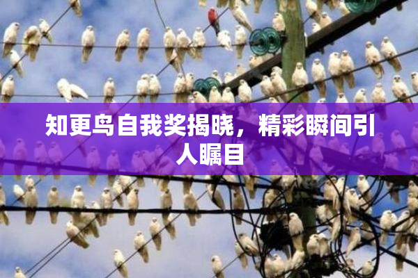 知更鸟自我奖揭晓，精彩瞬间引人瞩目