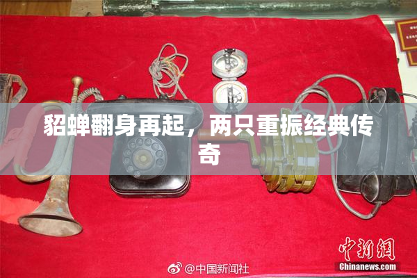 貂蝉翻身再起，两只重振经典传奇