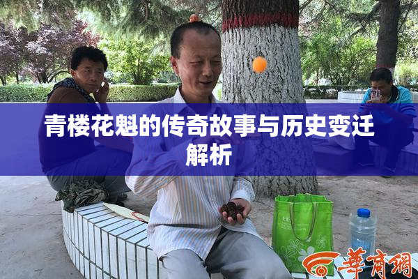 青楼花魁的传奇故事与历史变迁解析