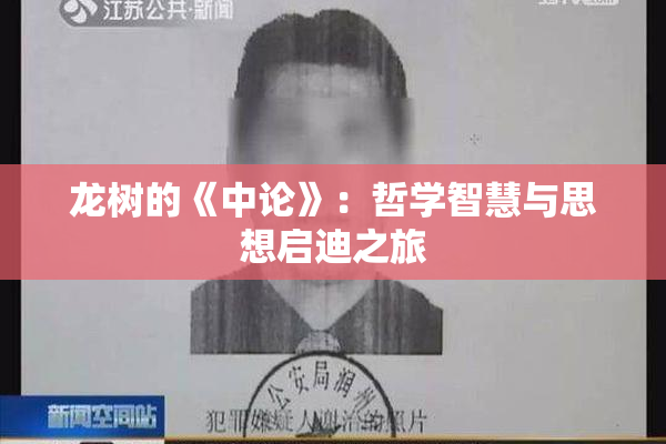 龙树的《中论》：哲学智慧与思想启迪之旅