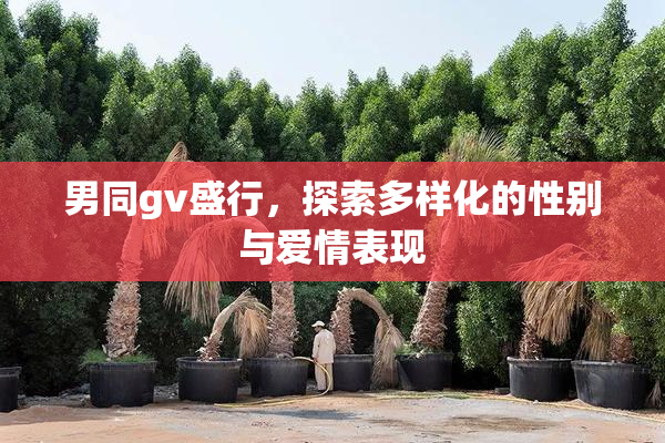 男同gv盛行，探索多样化的性别与爱情表现