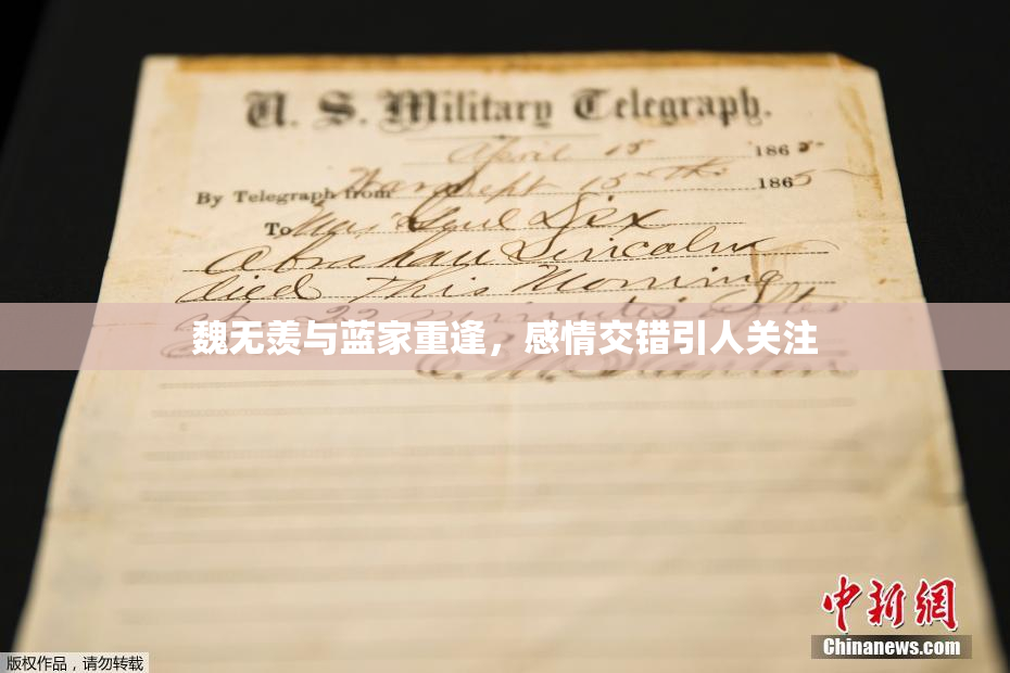 魏无羡与蓝家重逢，感情交错引人关注