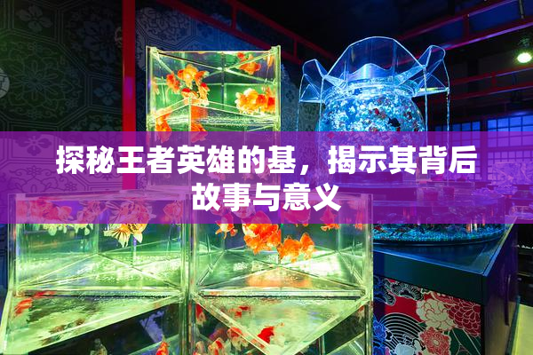 探秘王者英雄的基，揭示其背后故事与意义