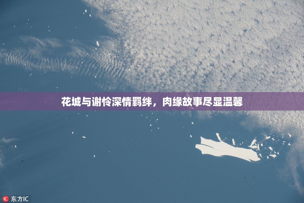 花城与谢怜深情羁绊，肉缘故事尽显温馨