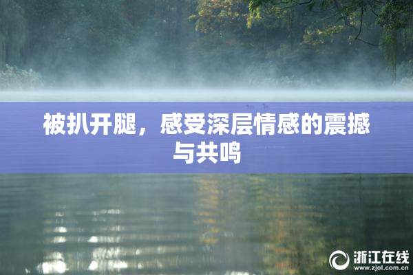 被扒开腿，感受深层情感的震撼与共鸣