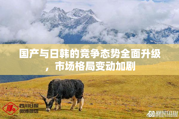 国产与日韩的竞争态势全面升级，市场格局变动加剧