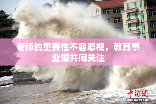 老师的重要性不容忽视，教育事业需共同关注