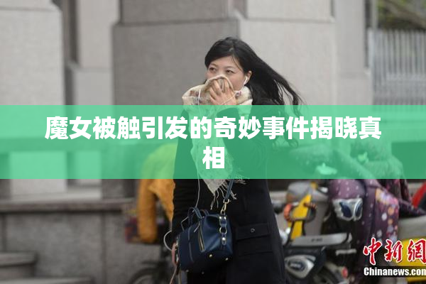 魔女被触引发的奇妙事件揭晓真相
