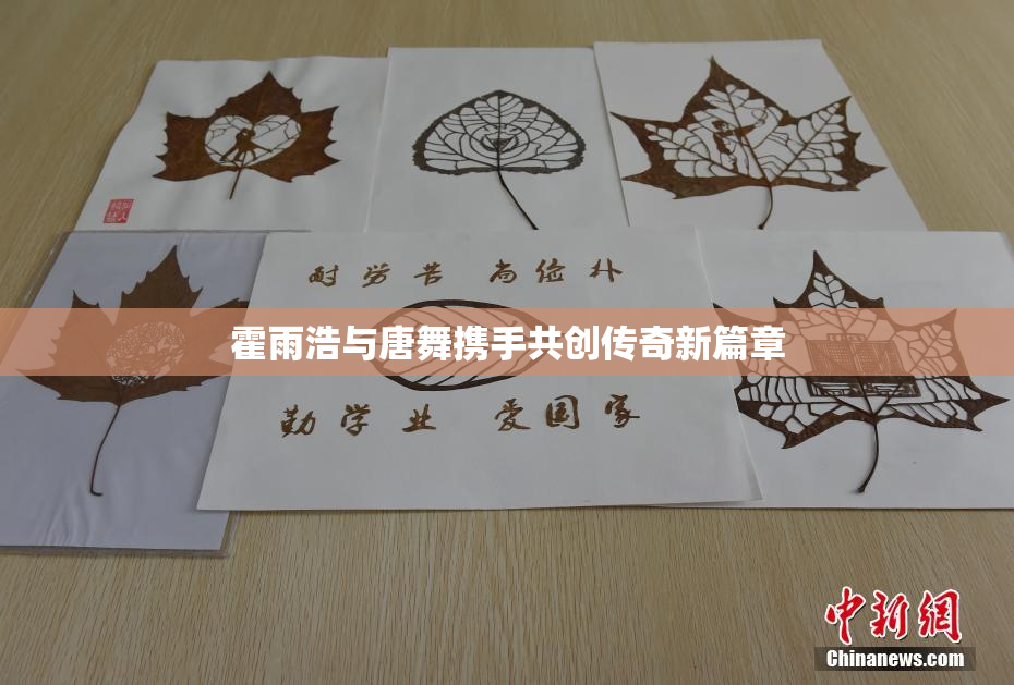 霍雨浩与唐舞携手共创传奇新篇章