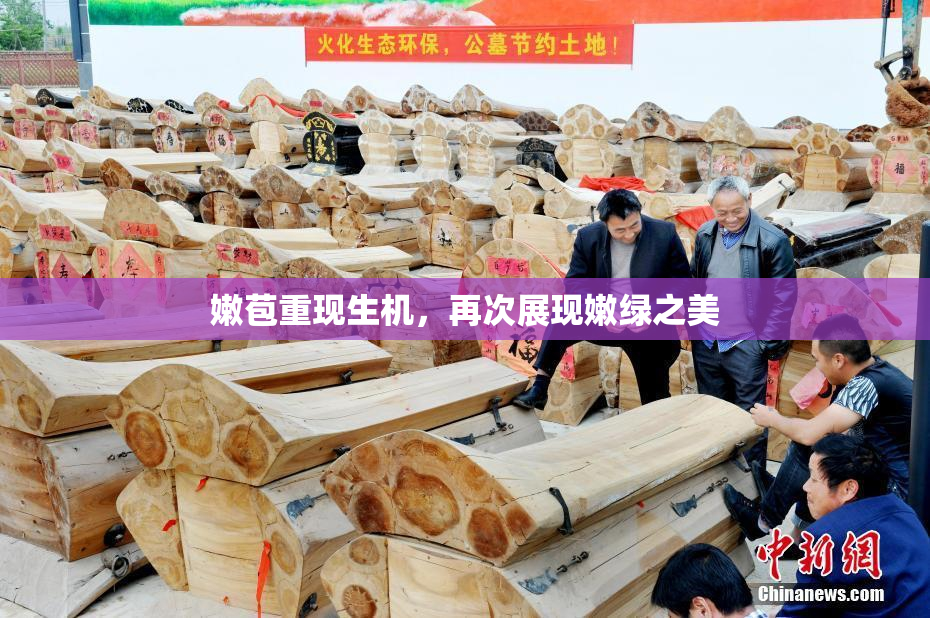 嫩苞重现生机，再次展现嫩绿之美