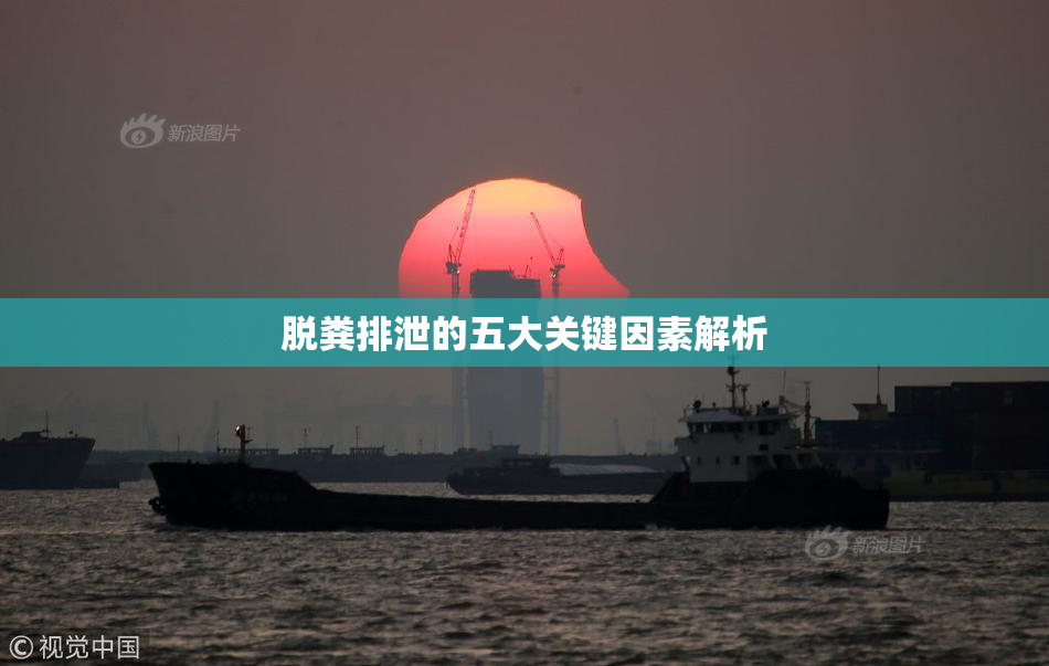 脱粪排泄的五大关键因素解析