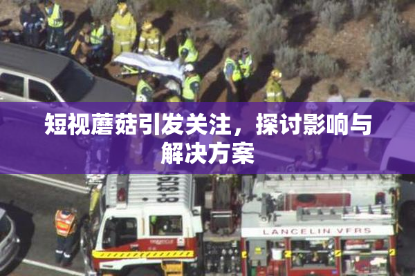 短视蘑菇引发关注，探讨影响与解决方案