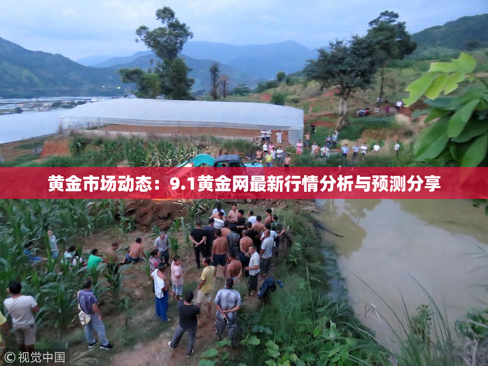 黄金市场动态：9.1黄金网最新行情分析与预测分享