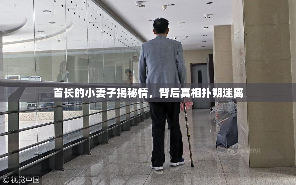 首长的小妻子揭秘情，背后真相扑朔迷离