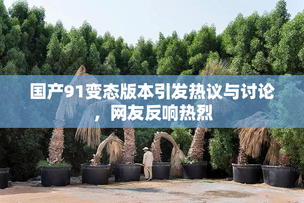 国产91变态版本引发热议与讨论，网友反响热烈
