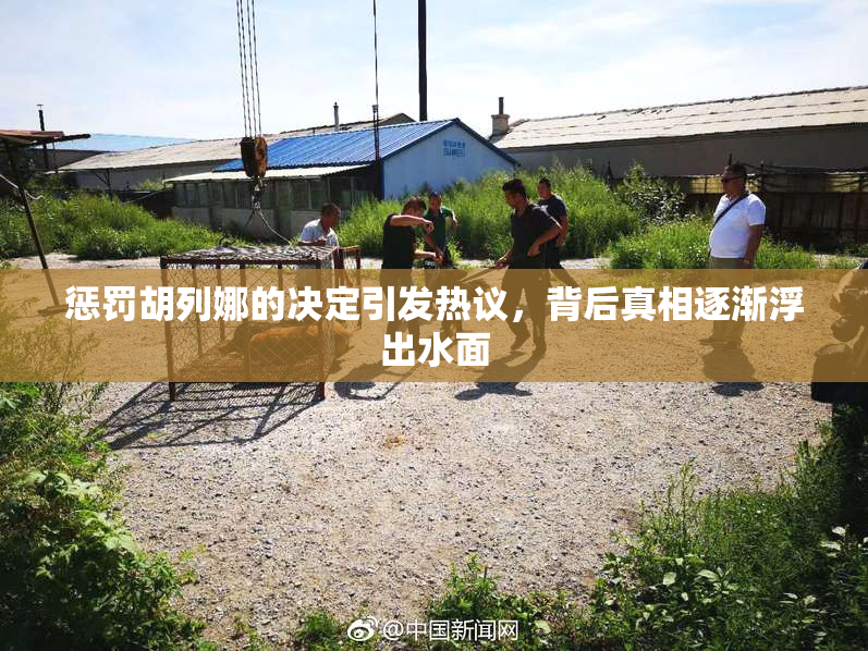 惩罚胡列娜的决定引发热议，背后真相逐渐浮出水面