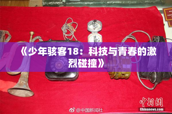 《少年骇客18：科技与青春的激烈碰撞》