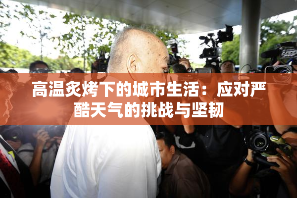 高温炙烤下的城市生活：应对严酷天气的挑战与坚韧