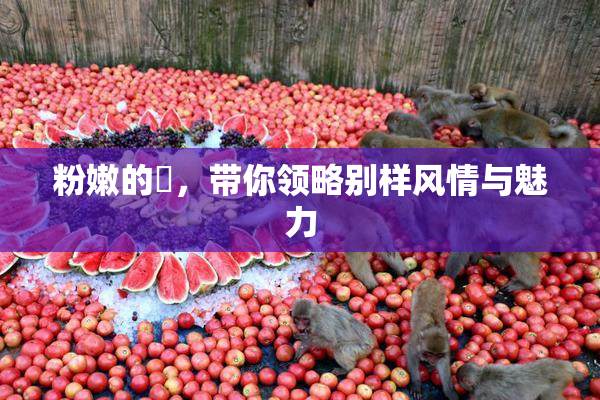 粉嫩的泬，带你领略别样风情与魅力