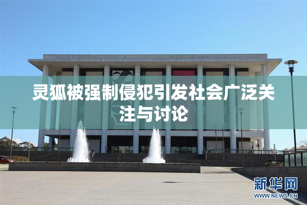 灵狐被强制侵犯引发社会广泛关注与讨论