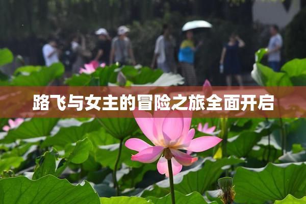 路飞与女主的冒险之旅全面开启