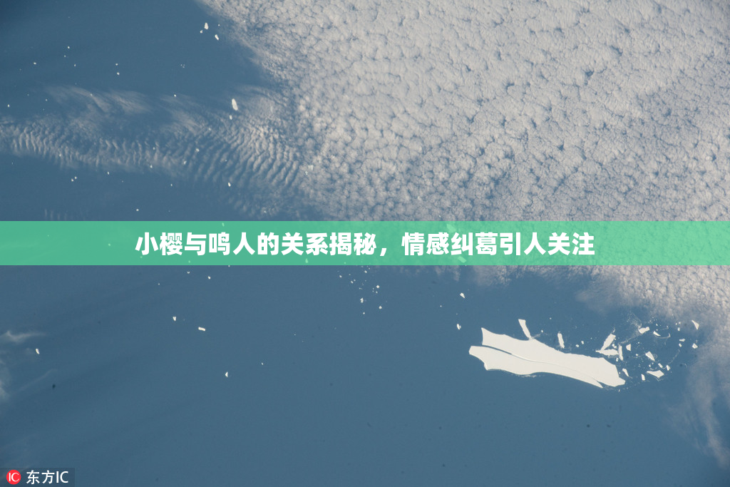 小樱与鸣人的关系揭秘，情感纠葛引人关注