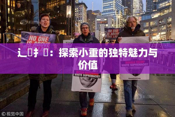 辶喿扌畐：探索小重的独特魅力与价值