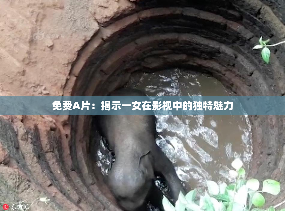 免费A片：揭示一女在影视中的独特魅力