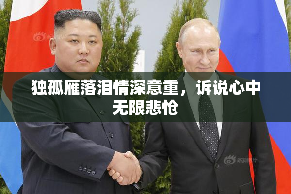 独孤雁落泪情深意重，诉说心中无限悲怆