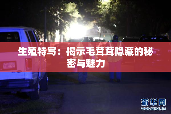 生殖特写：揭示毛茸茸隐藏的秘密与魅力