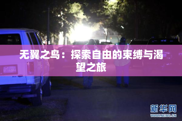 无翼之鸟：探索自由的束缚与渴望之旅