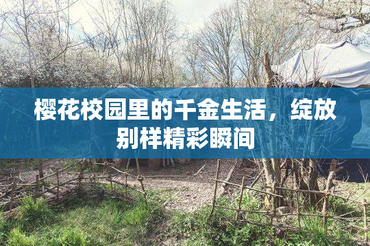 樱花校园里的千金生活，绽放别样精彩瞬间