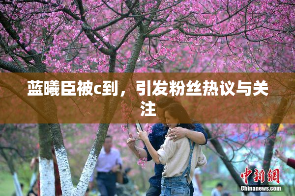 蓝曦臣被c到，引发粉丝热议与关注