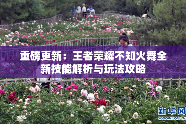 重磅更新：王者荣耀不知火舞全新技能解析与玩法攻略