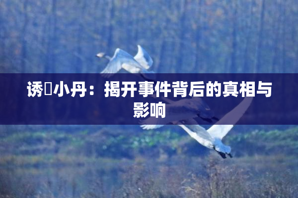 诱奷小丹：揭开事件背后的真相与影响