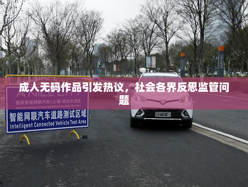 成人无码作品引发热议，社会各界反思监管问题