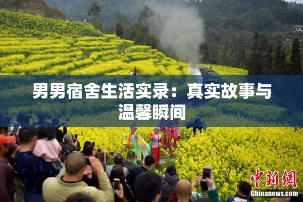 男男宿舍生活实录：真实故事与温馨瞬间
