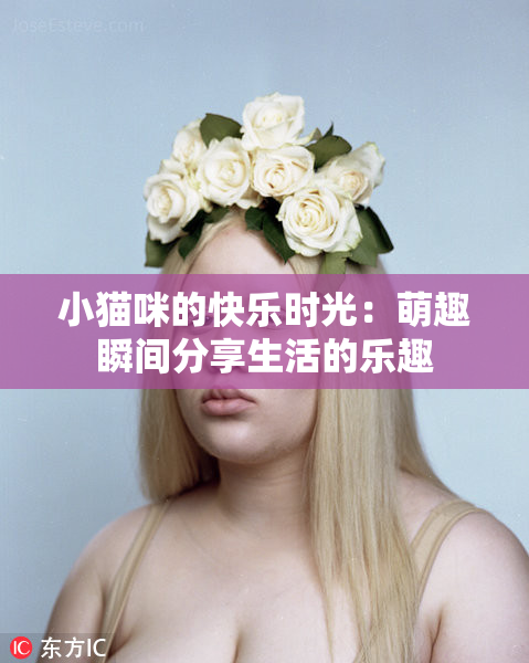 小猫咪的快乐时光：萌趣瞬间分享生活的乐趣