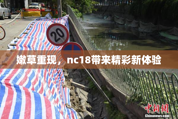 嫩草重现，nc18带来精彩新体验