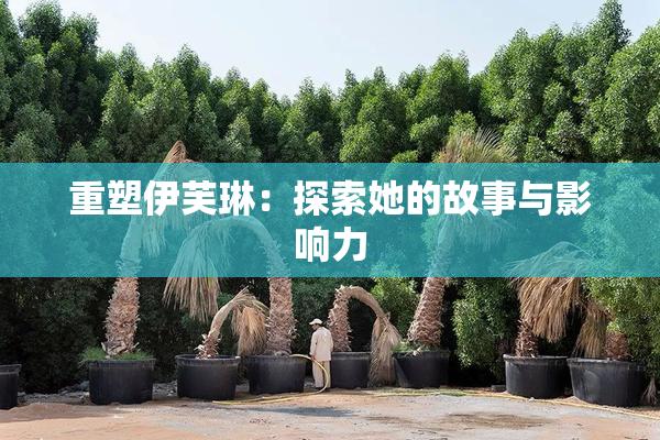 重塑伊芙琳：探索她的故事与影响力