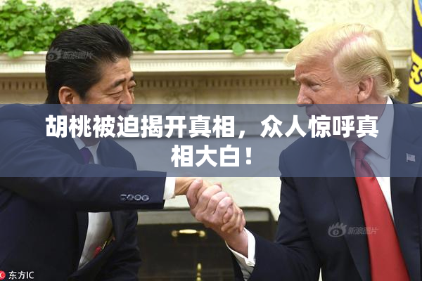 胡桃被迫揭开真相，众人惊呼真相大白！